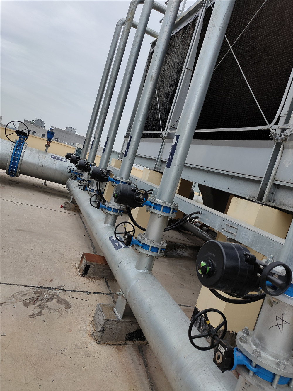 Hangzhou-Bailing-Pharmaceutical-Co1